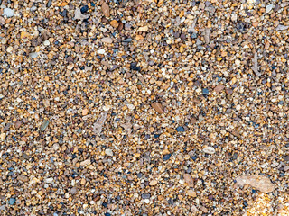 Background of pebbles. Wet stones. Multicolored pebbles