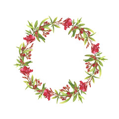 Watercolor illustration of Oleander. Set with flowers and leaves. Hand-drawn isolated clip art on a white background. Bright watercolor for holiday cards, wedding invitations, textiles, print design