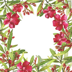 Watercolor illustration of Oleander. Set with flowers and leaves. Hand-drawn isolated clip art on a white background. Bright watercolor for holiday cards, wedding invitations, textiles, print design