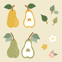 Pears, flowers and leaves. Set of spring and summer elements in flat style.