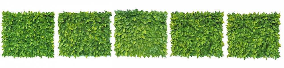 Fototapeta premium set of green leaf banners. Generative AI