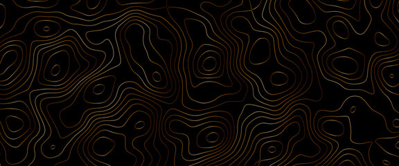 Luxury gold abstract line Topographic map art background. Gold mountain contour lines. Gold line waves on black background. Abstract background with lines and circles. Gold black Topography terrain.