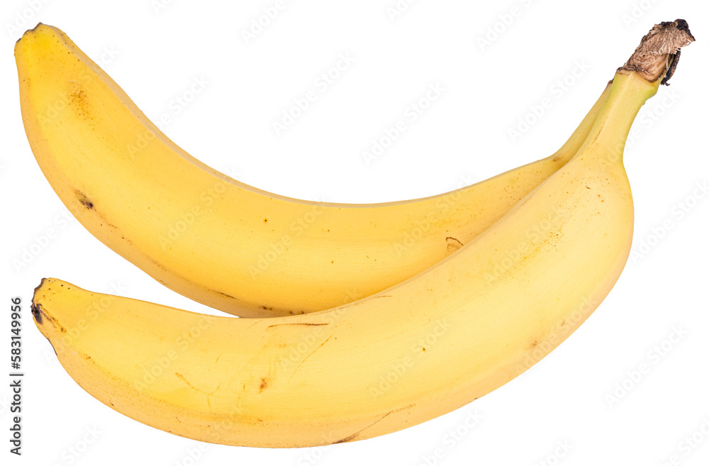 Wall mural Bunch of bananas isolated on white or transparent background