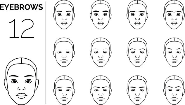 types of eyebrows shapes on woman's face. Linear vector icons