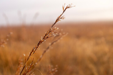 Savanna landscapes in Ezemvelo Nature Reserve