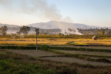 Fototapeta na wymiar Rice Paddies Near the Town of Hsipaw in Central Myanmar at Sunset.