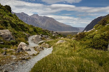 a mountain view with rocks, grass, and plants on a river bank