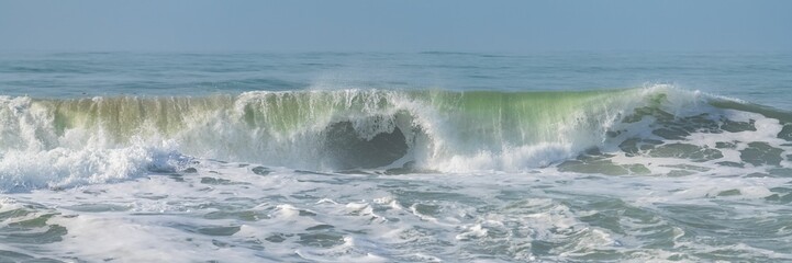 Wave crashing on the shore, California