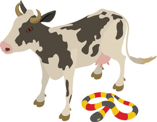 Farm animal icon isometric vector. Small spotted cow near poisonous coral snake. Biological diversity concept