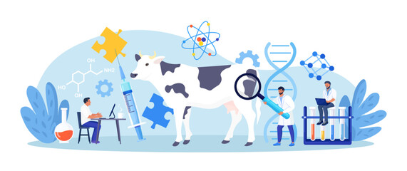 Biology scientists doing research cow dna. Genetically modified animals. Gene technology. Bioengineering. People doing experiments in lab with animal. Veterinary worker making test and analysis