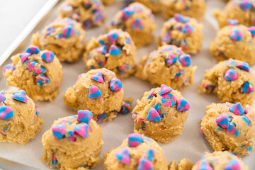 Unicorn chocolate chip cookie