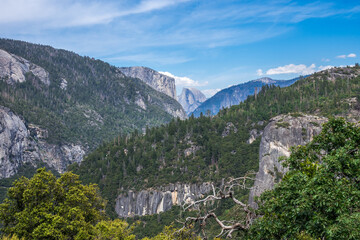 Fototapeta na wymiar Yosemite Floor