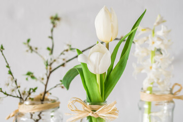 Fototapeta na wymiar Spring flowers in glasses on white background
