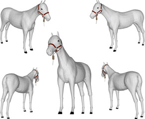 sketch vector illustration of tame horse on nature farm