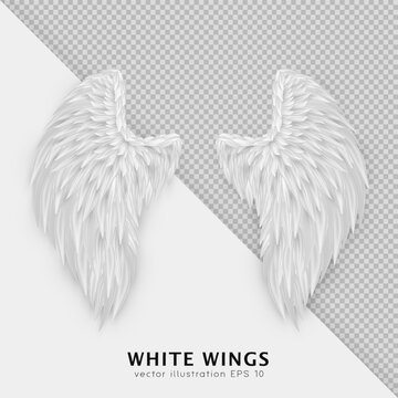 Three dimensional white angel wings. Masquerade, festival, carnival costume. Realistic bird wings isolated on transparent background. Freedom, spiritual concept. Vector illustrator EPS 10