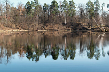 Forest in early spring and its reflection in the river.