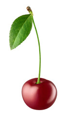 Fresh ripe red cherry with green leaves