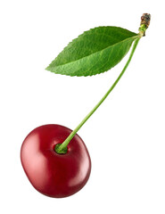 Fresh ripe red cherry with green leaves