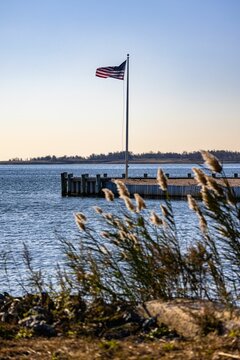 Phragmites australis plants by blue sky with wooden pier and USA flag with sunset sky