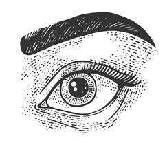 Beauty woman eye sketch PNG illustration with transparent background