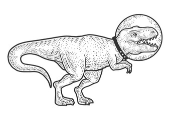 Astronaut cartoon Tyrannosaurus sketch PNG illustration with transparent background