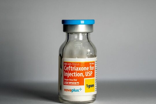 Bottle of Ceftriaxone antibiotics treating infections for injection