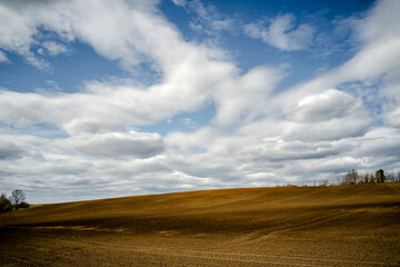 Fototapeta na wymiar a newly plowed field on which cranes walk against the background of a blue sky