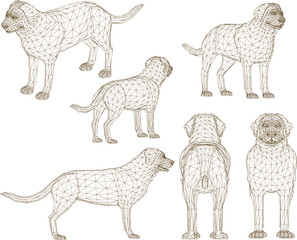 Vector sketch of a house keeper pet dog