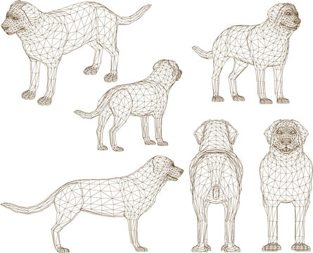 Vector sketch of a house keeper pet dog © nur