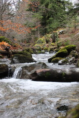 rivière en montagne