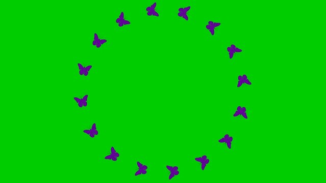 Animated frame from violet butterflies fly in a circle. Looped video. Summer and spring concept. Vector illustration isolated on green background.
