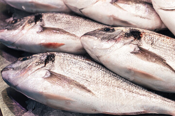 Fresh fish on ice from the market, Cádiz.