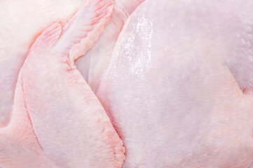 Chicken, raw carcass close-up, wing, skin, full depth of field