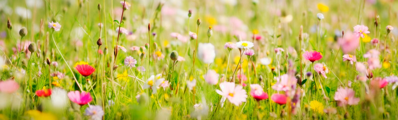 Field flowers are blooming in the meadow. Generative AI,