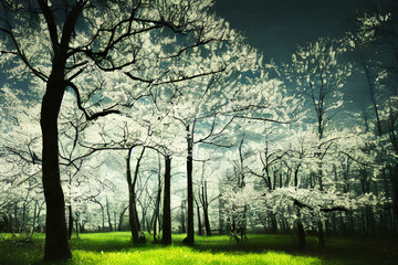 Trees and blue sky on a sunny day, blurred spring background nature with blooming glade, Generative AI
