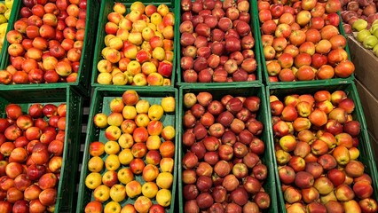 fruits and vegetables at market