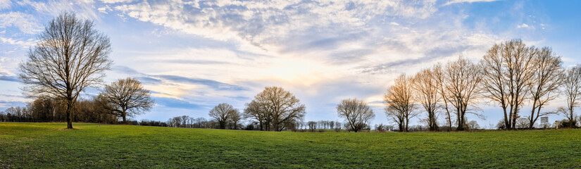Fototapeta na wymiar Panorama einer Landschaft mit Wiesen, Bäumen und einem blauen Himmel mit Sonne und Wolken in Loccum