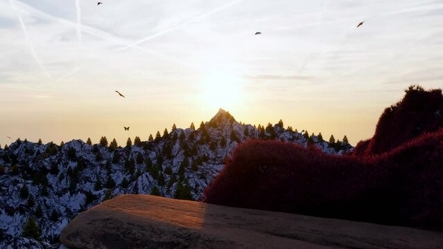 
Butterflies fluttering around at sunset over the observation point at a mountain peak.