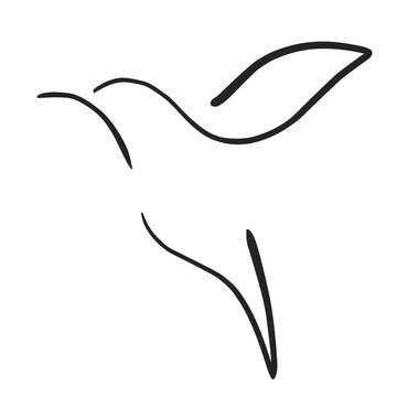 recommend clip art: Flying bird continuous line drawing element.