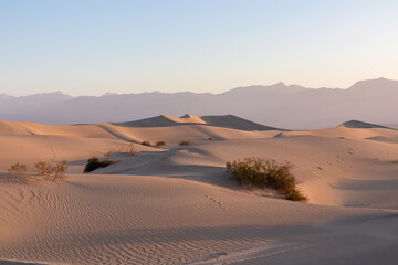 Panoramic view on natural pattern in sand during sunrise at Mesquite Flat Sand Dunes, Death Valley...