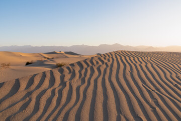 Scenic view on natural ripple sand pattern during sunrise at Mesquite Flat Sand Dunes, Death Valley National Park, California, USA. Morning walk in Mojave desert with Amargosa Mountain Range in back