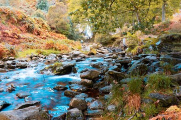 Naklejka na ściany i meble Beautiful view of a stream with rocks in a forest