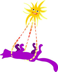 Cute funny cat rides in the sun