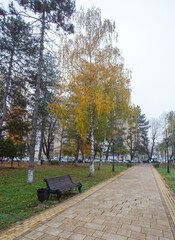 Autumn foggy morning in the city, the city park is a place for walking citizens.