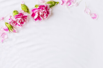 Pink flowers in the water. Waves, water, petals. floral, water Dripping, pouring.