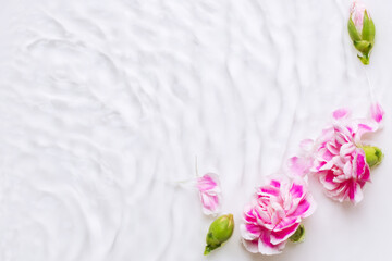 Pink flowers in the water. Waves, water, petals. floral, water Dripping, pouring.