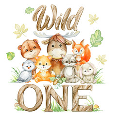 moose, squirrel, owl, fox, raccoon, bunny, bear, mushroom leaves, text, wild one. Watercolor clipart, for the first birthday.