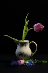 Fresh Flower in Jug Inside a Studio