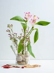 Fresh Blooms of Orchid in an Ikebana Vase