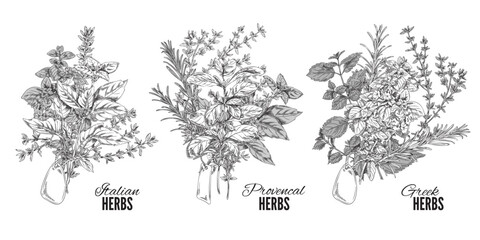 Set of hand drawn Italian, Provencal and Greek herbs bouquets sketch style © sabelskaya